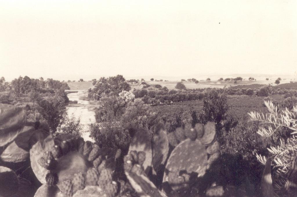 TABIA 1960 LA VALEE DE LA MEKERRA.JPG